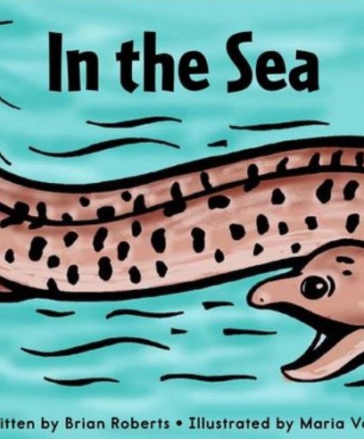 In the Sea