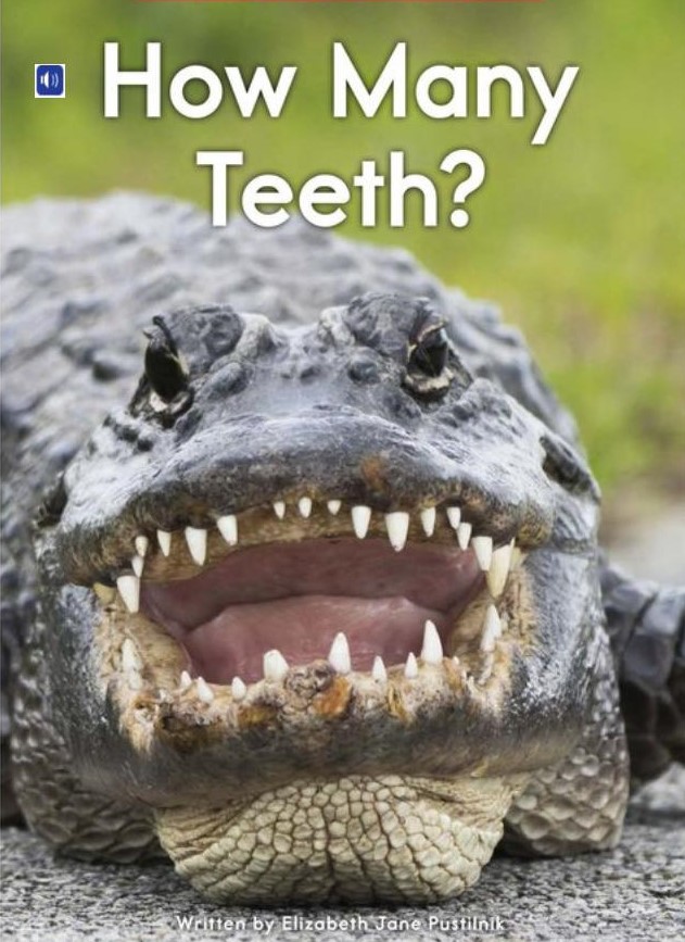 How Many Teeth