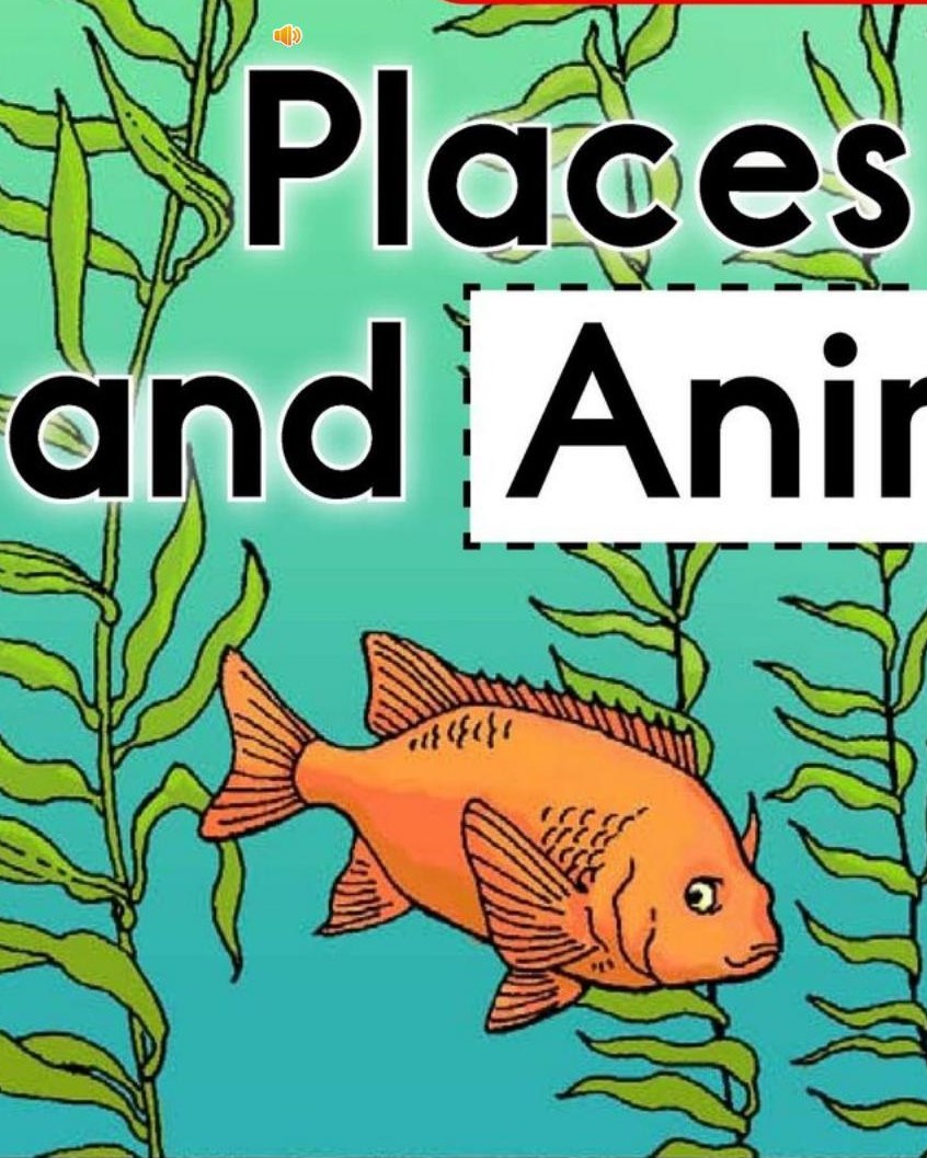 Places Plants and Animals Live