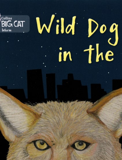 Wild dog in the city