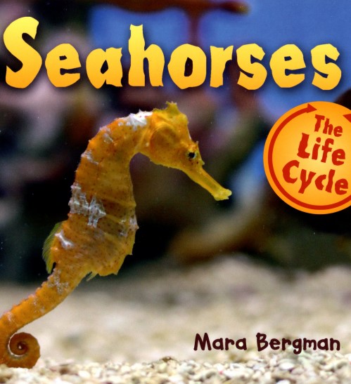 Seahourses