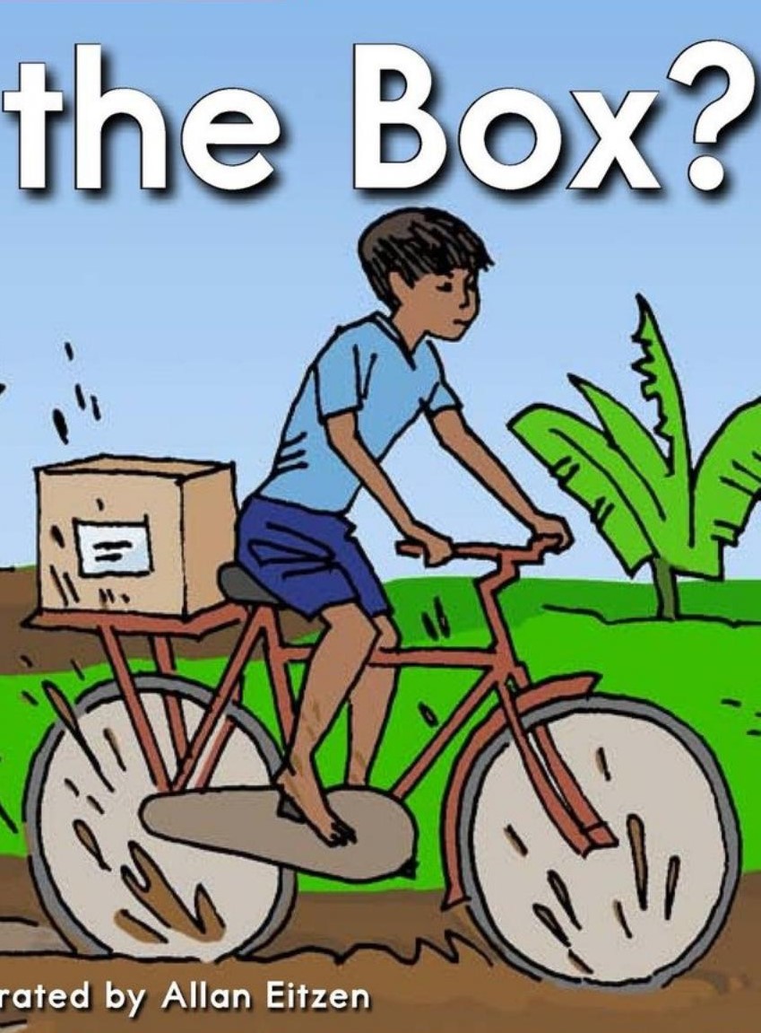 What Is in the Box?