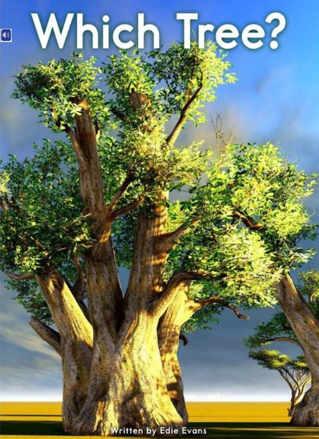 Whice Tree