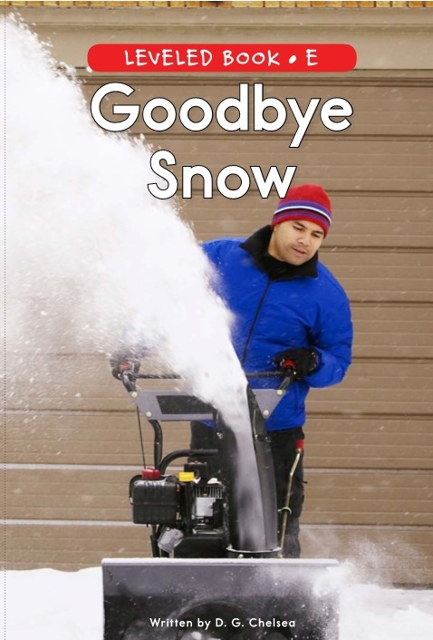 Goodbye Snow