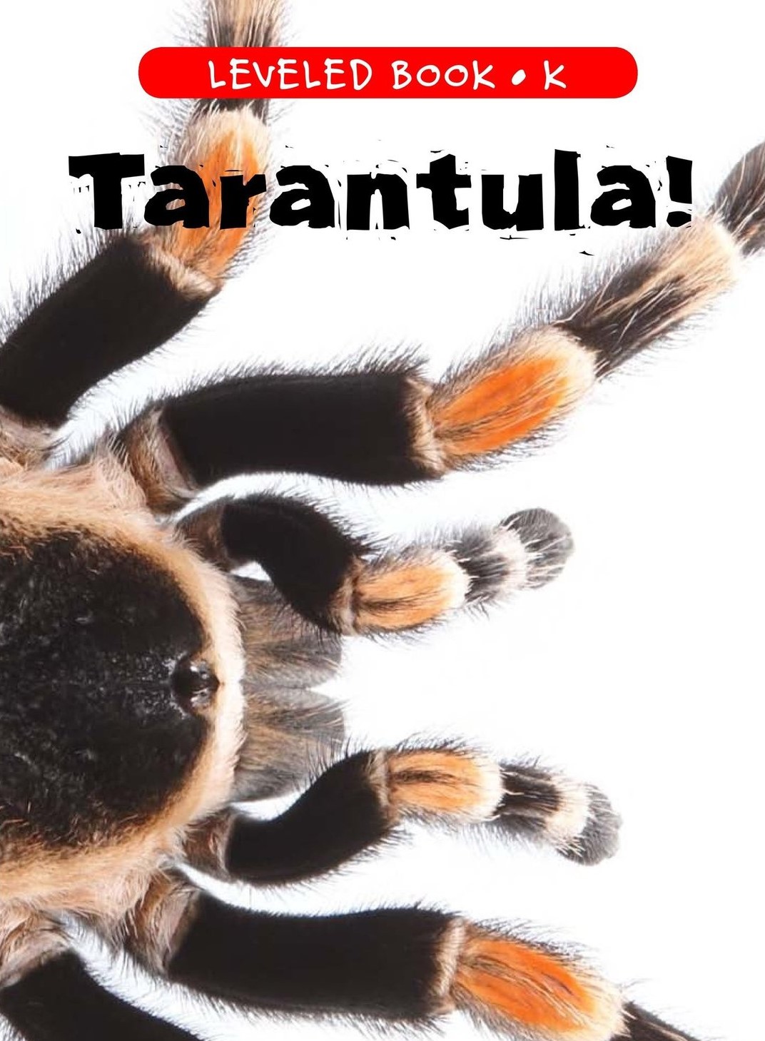 Tarantula!