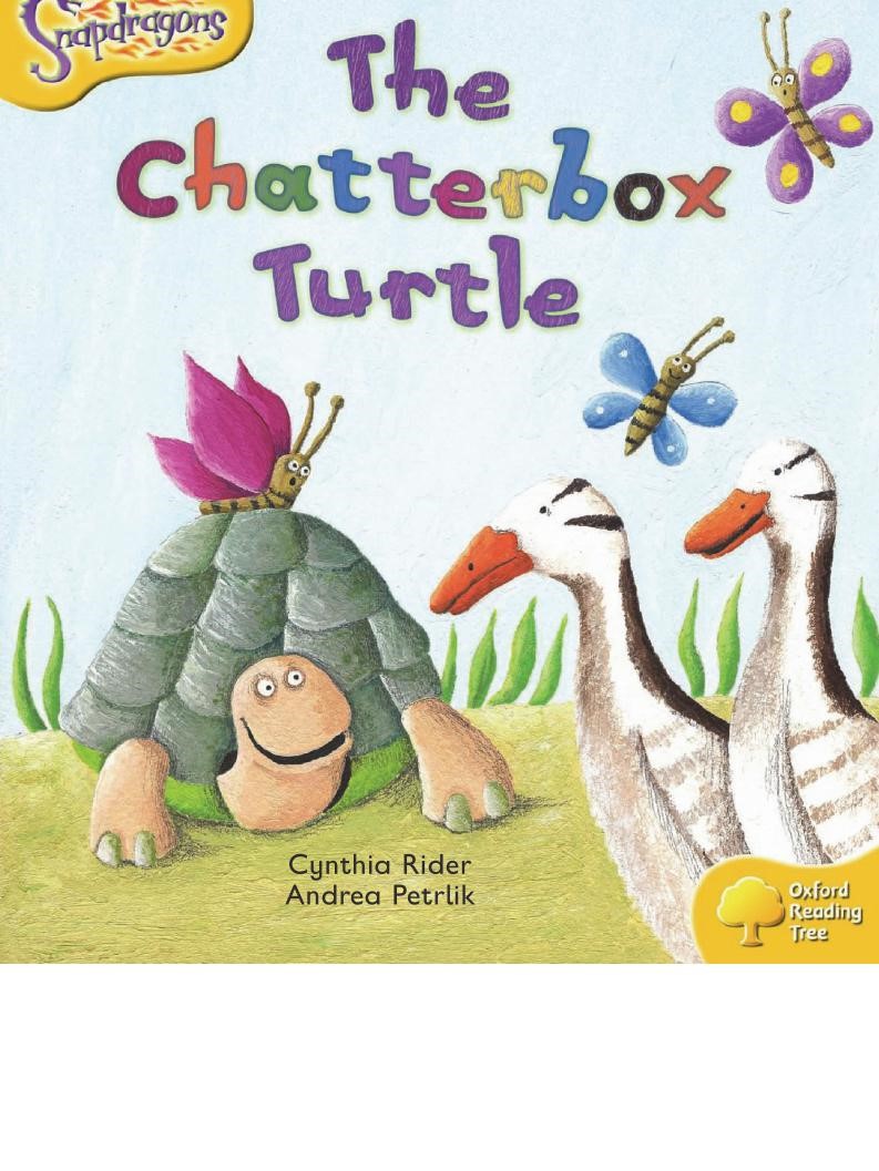The Chatterbox Turtle