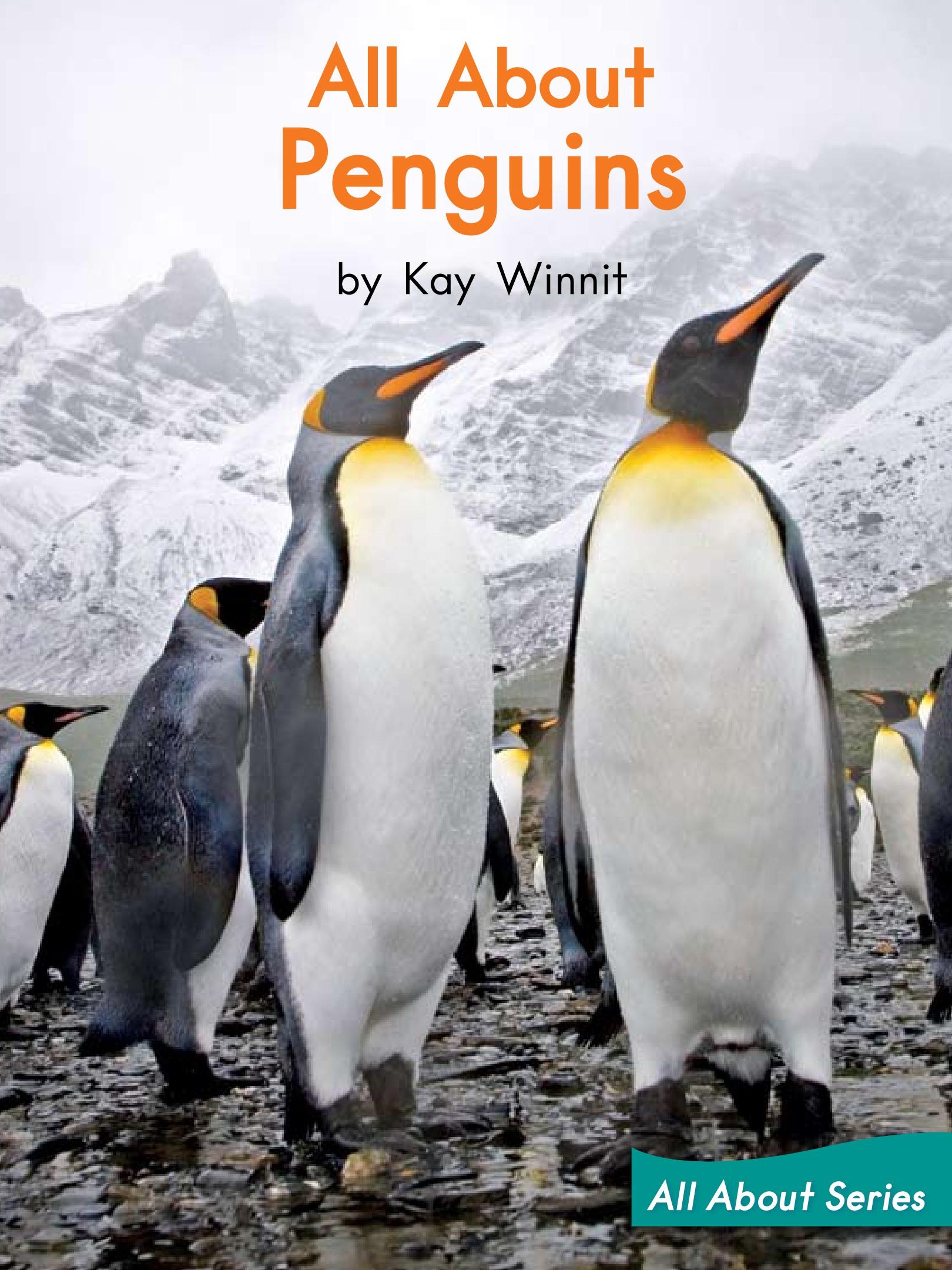 All About Penguins