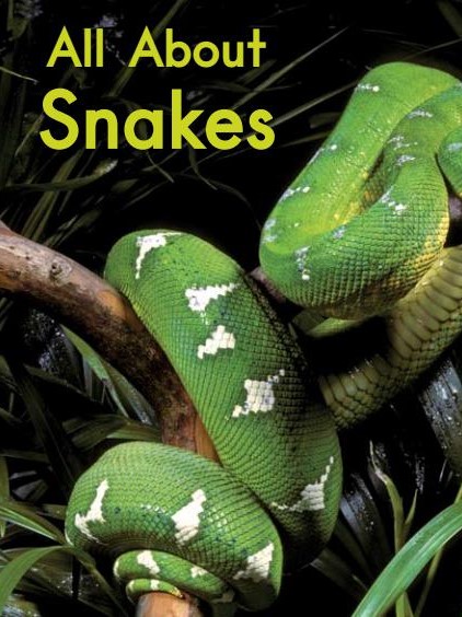 All About Snakes