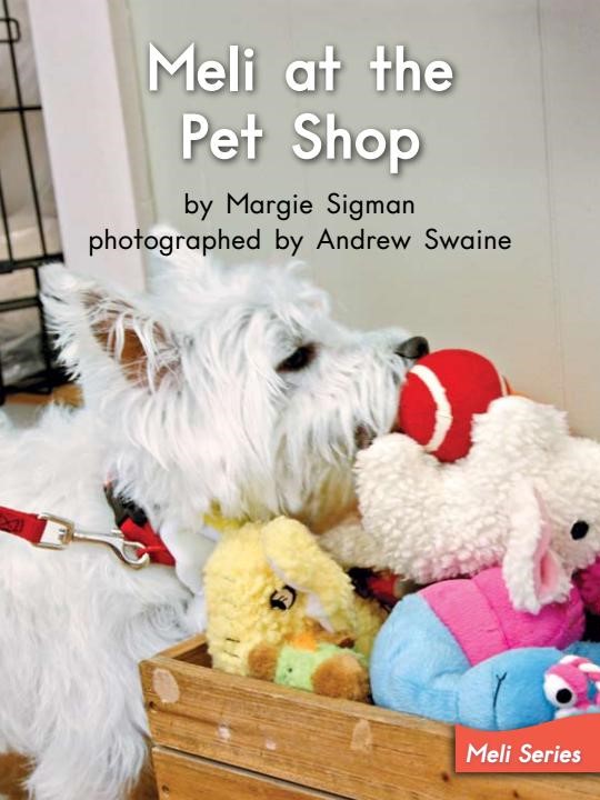 Meli at the Pet Shop
