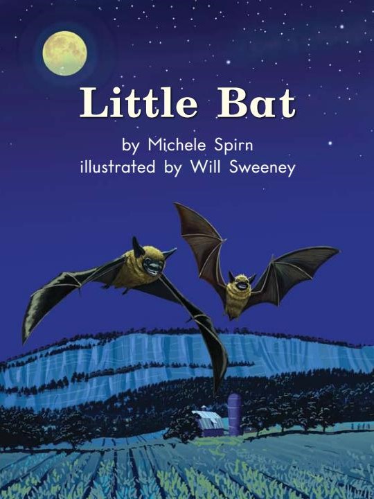 Little Bat
