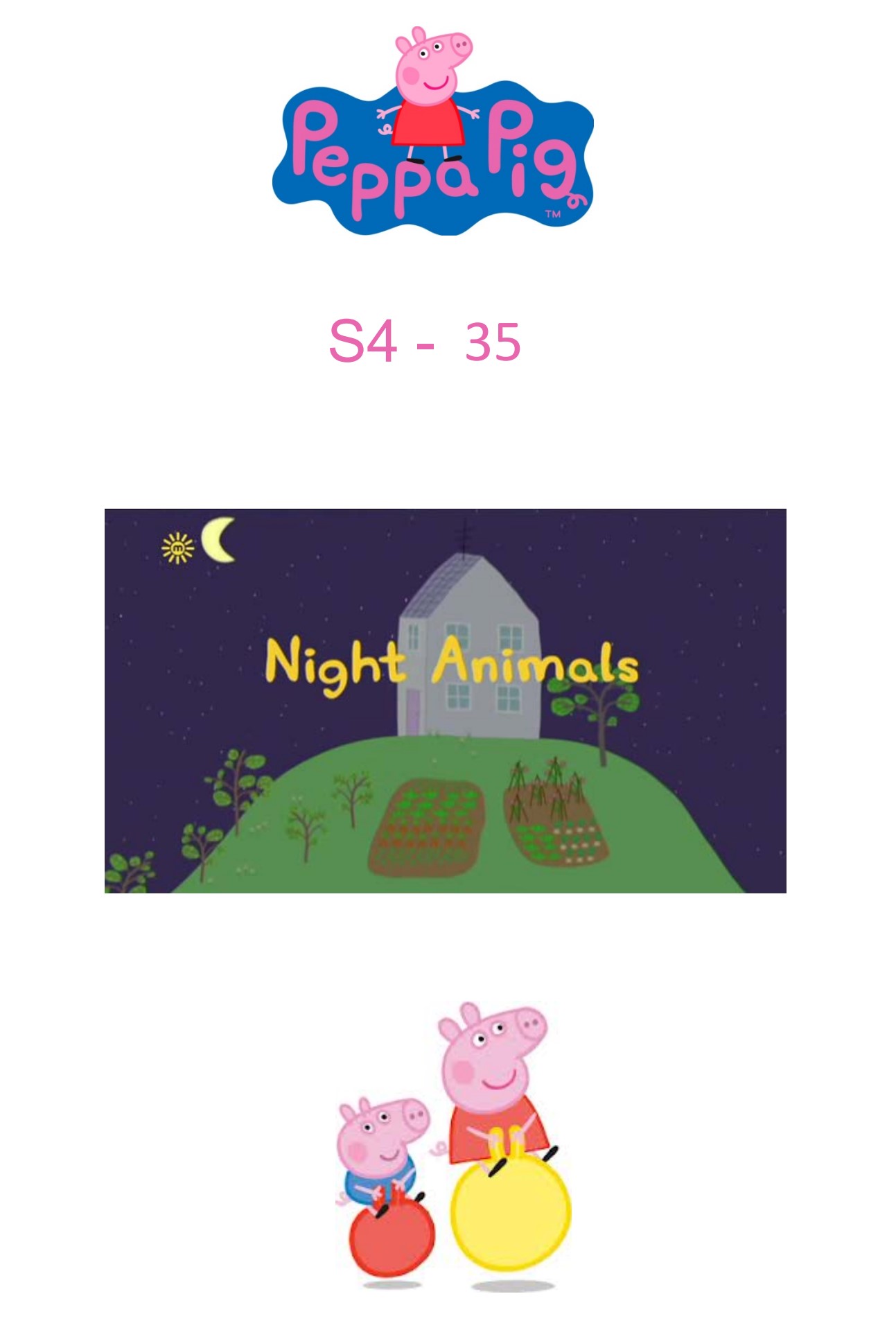 Night Animals
