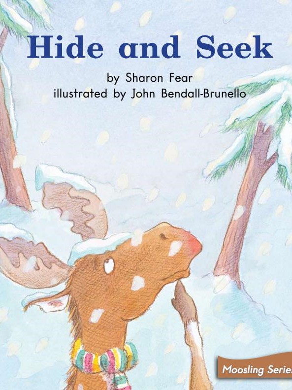 Hide and Seek