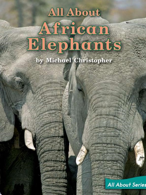 All About African Elephants
