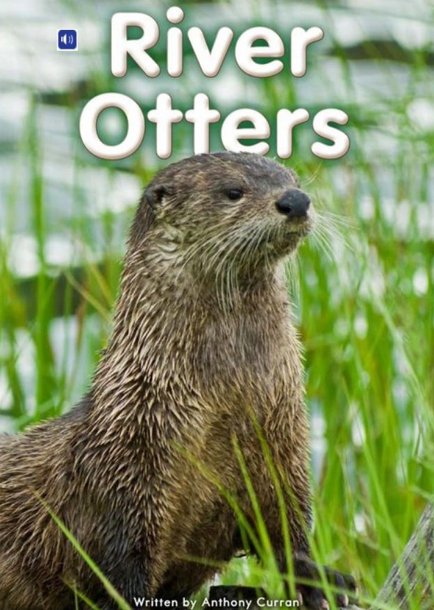 River Otters