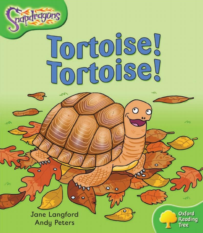 Tortoise! Tortoise!
