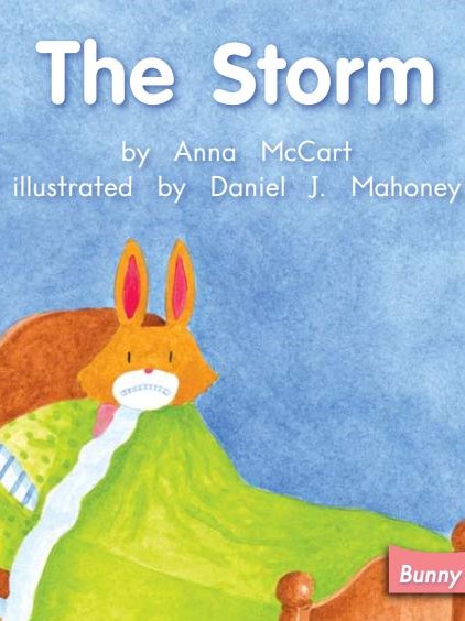 The storm
