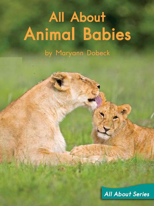 All about animal babies