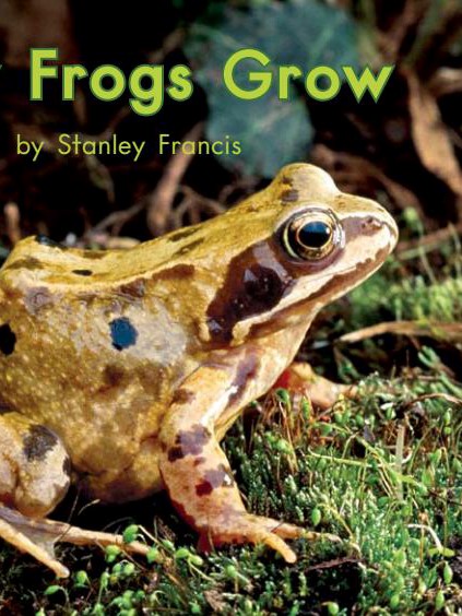 How frogs grow