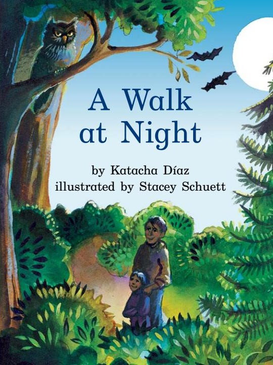 A walk at Night