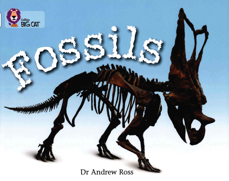 Fossils