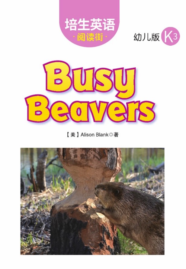 Busy Beavers