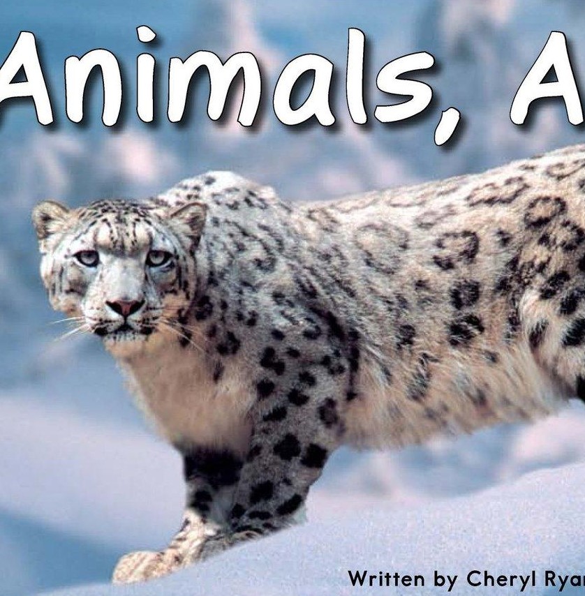 Animals, Animals
