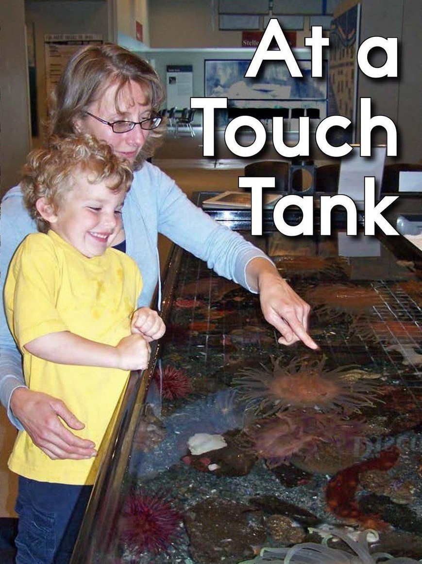 At a Touch Tank