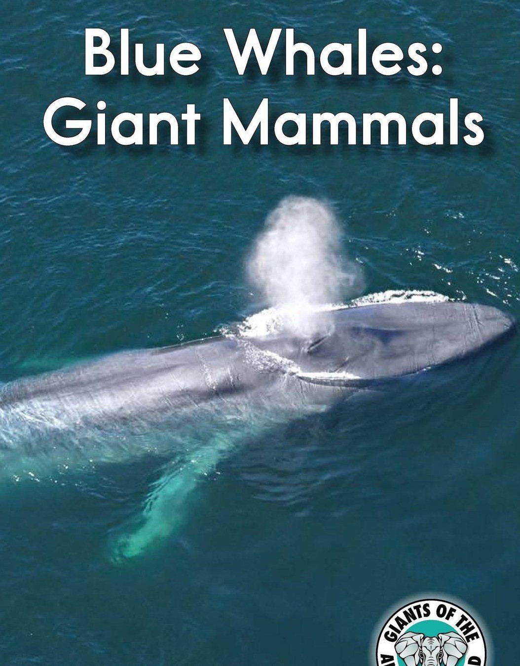 Blue Whales Giant Mammals