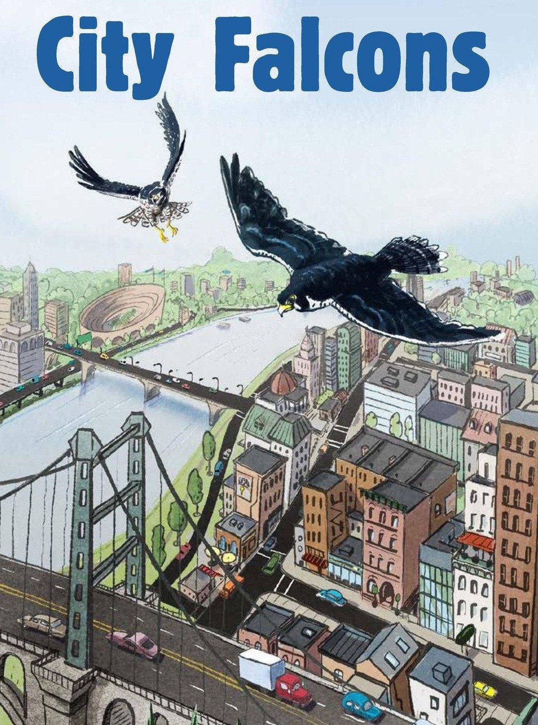 City Falcons