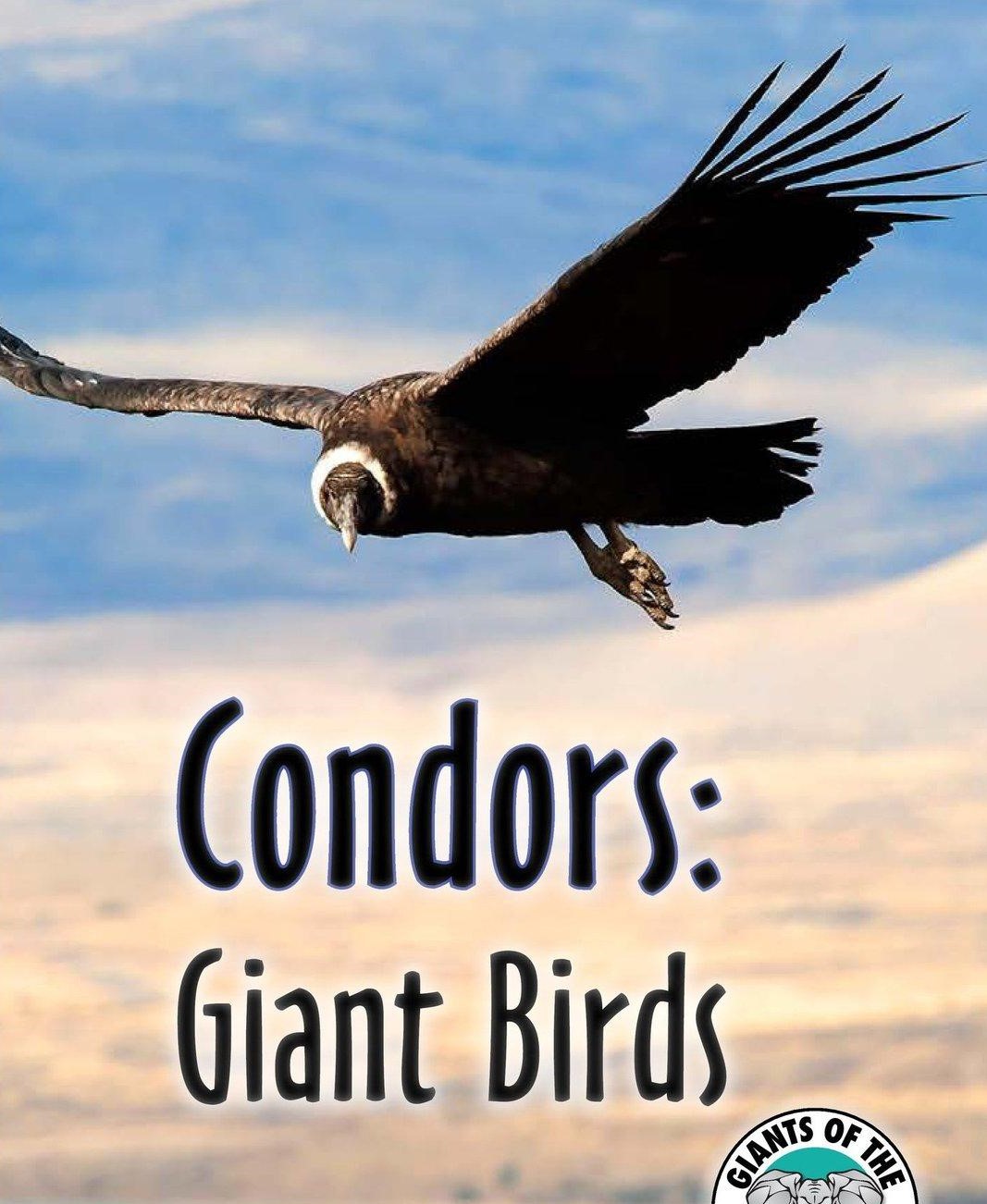 Condors Giant Birds