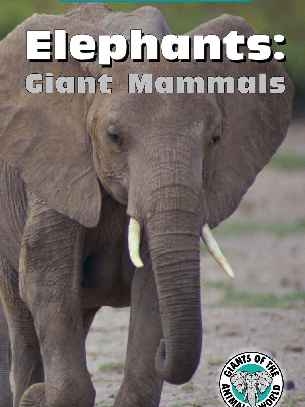 Elephants Giant Mammals