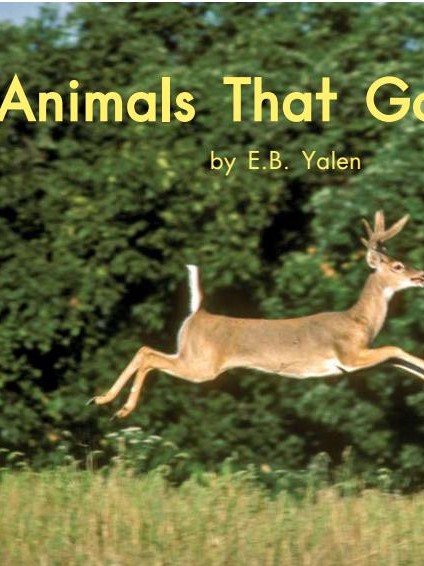 Animals that go fast