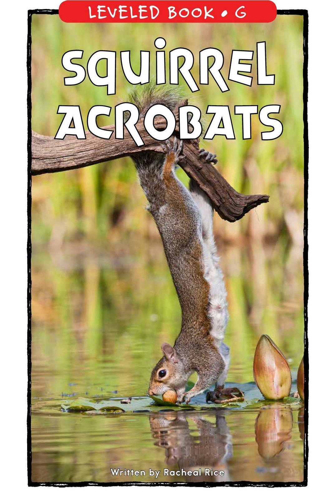 Squirrel Acrobats