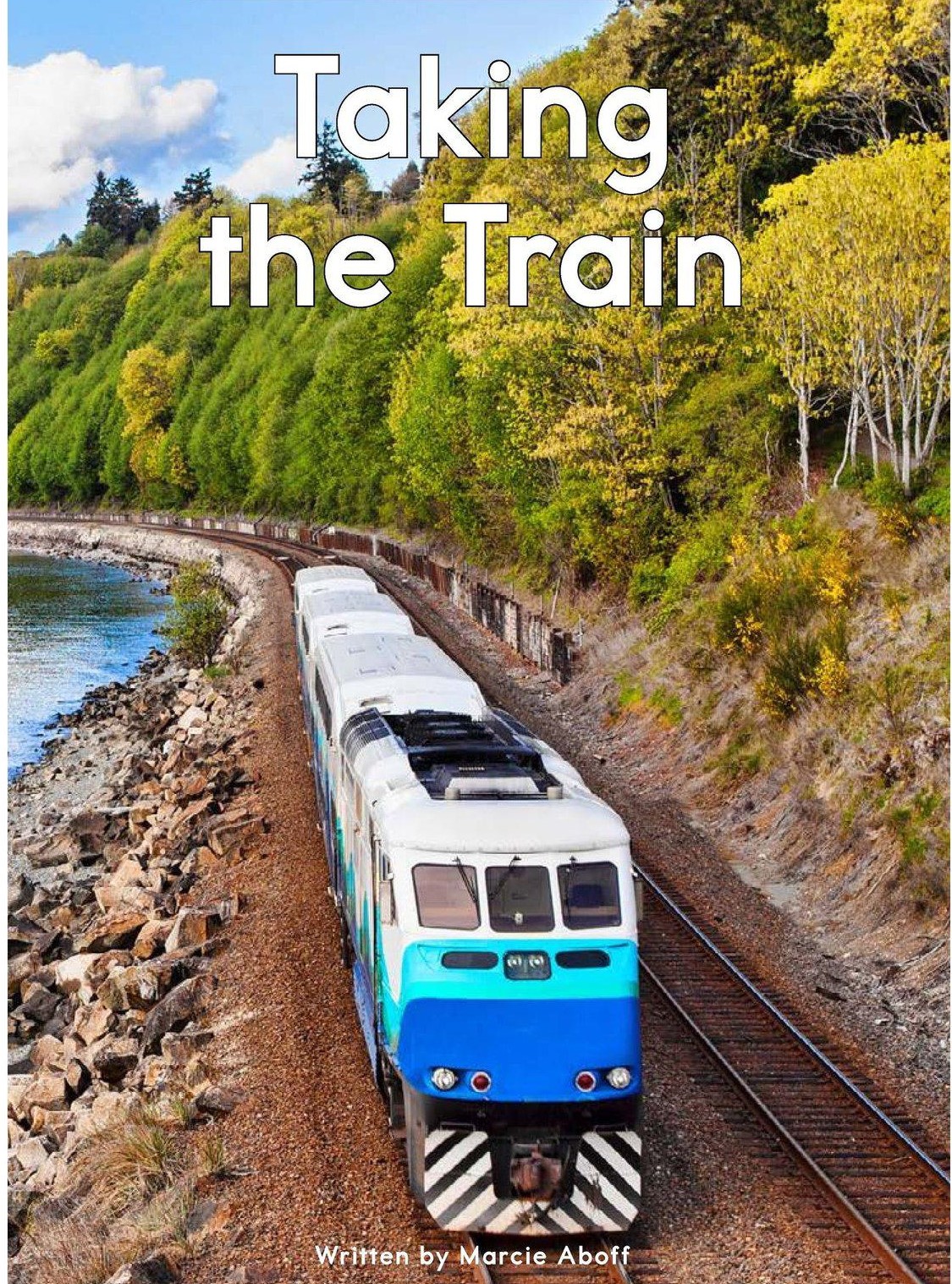 Taking the Train