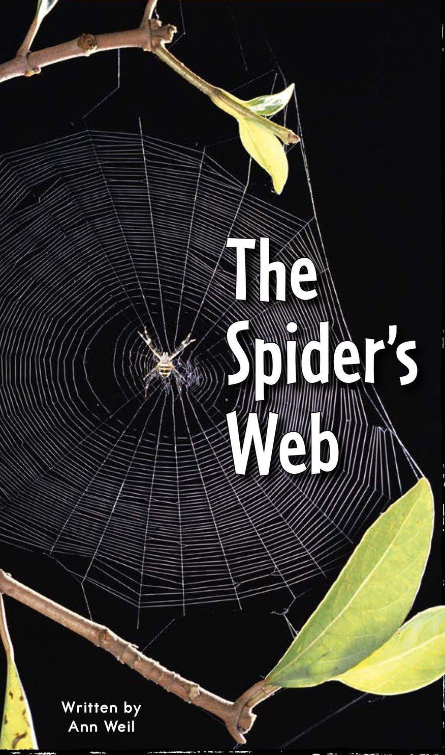 The Spider's Web