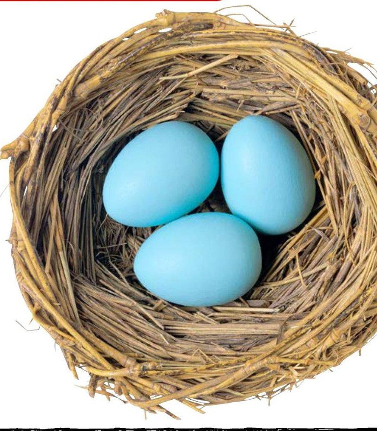 Whose Eggs Are These