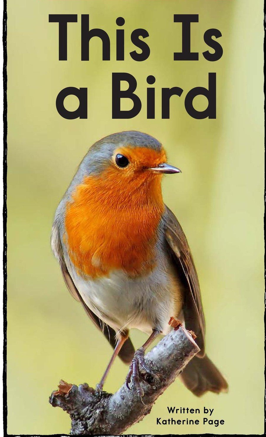 This Is a Bird