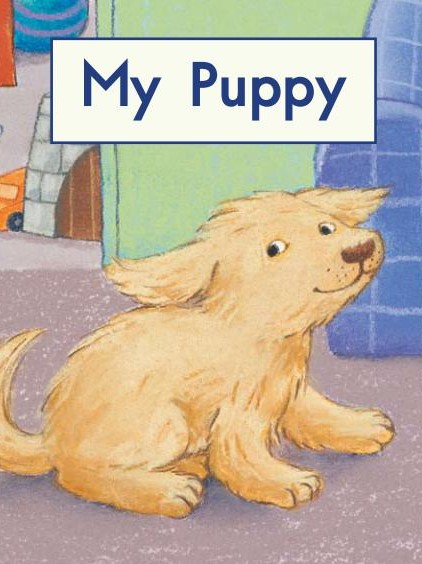 My puppy