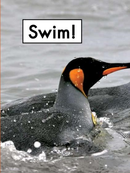 Swim