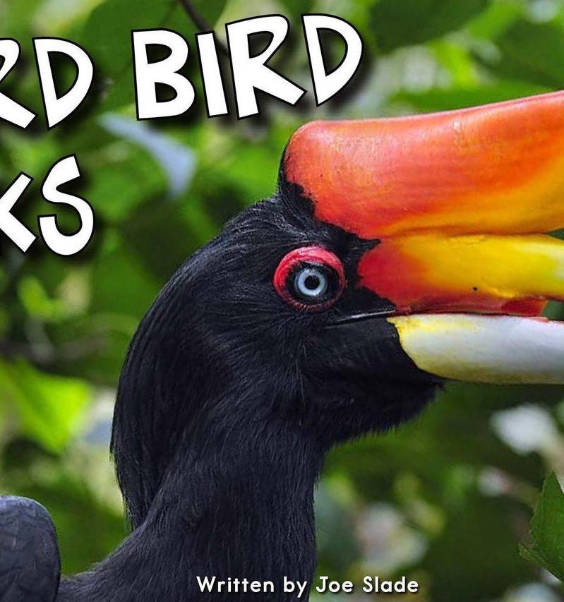 Weird Bird Beaks
