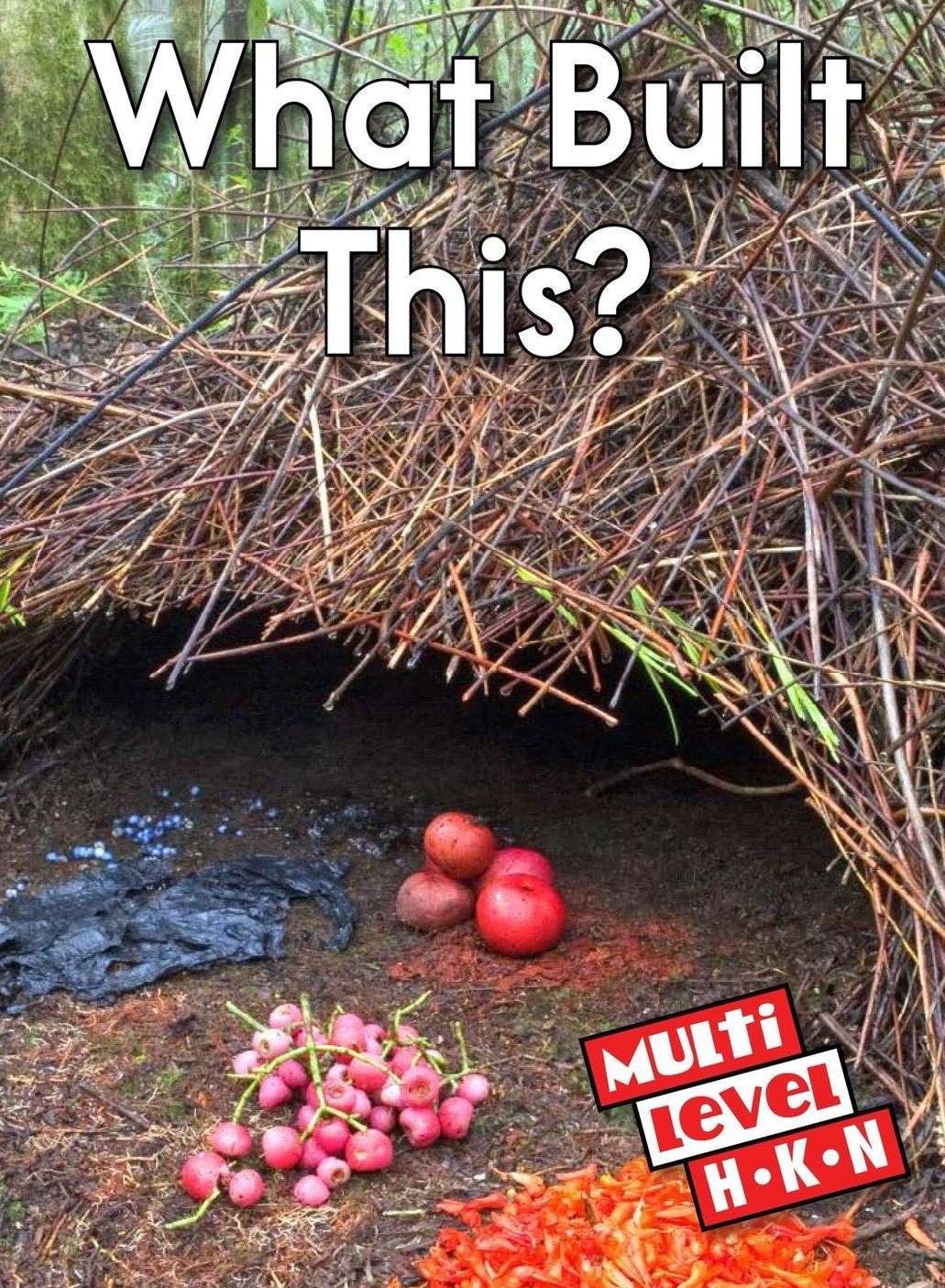 What Built This