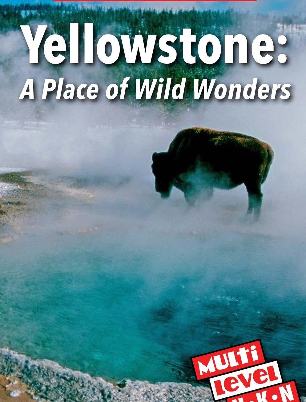 Yellowstone A Place of Wild Wonders