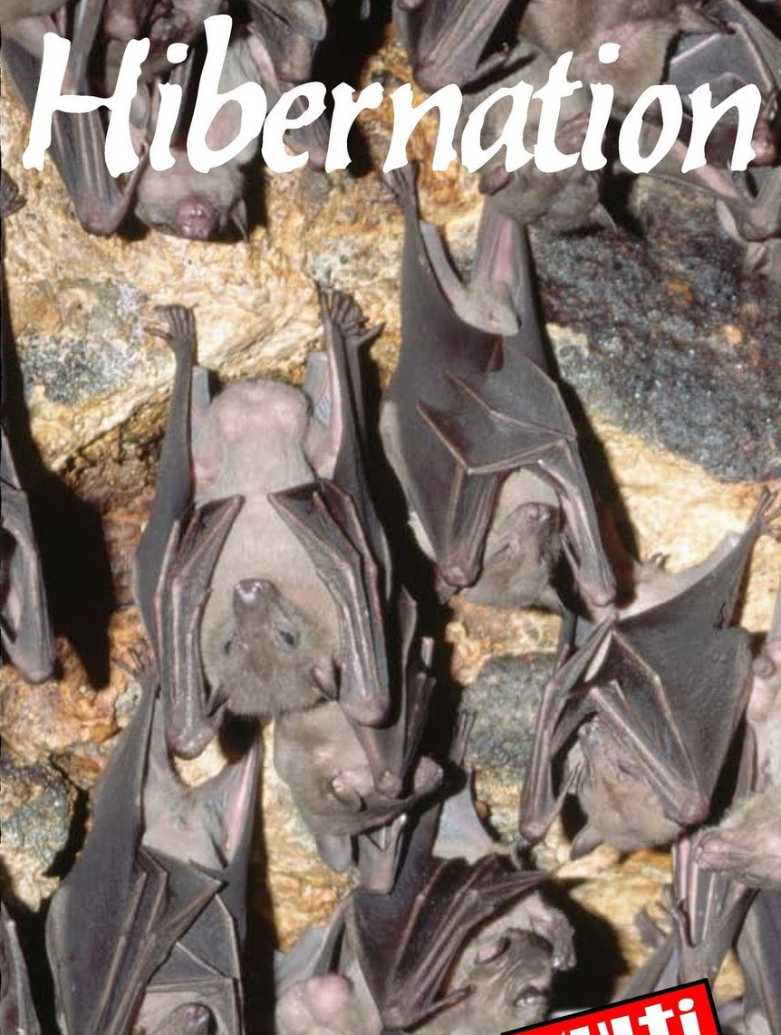 Hibernation