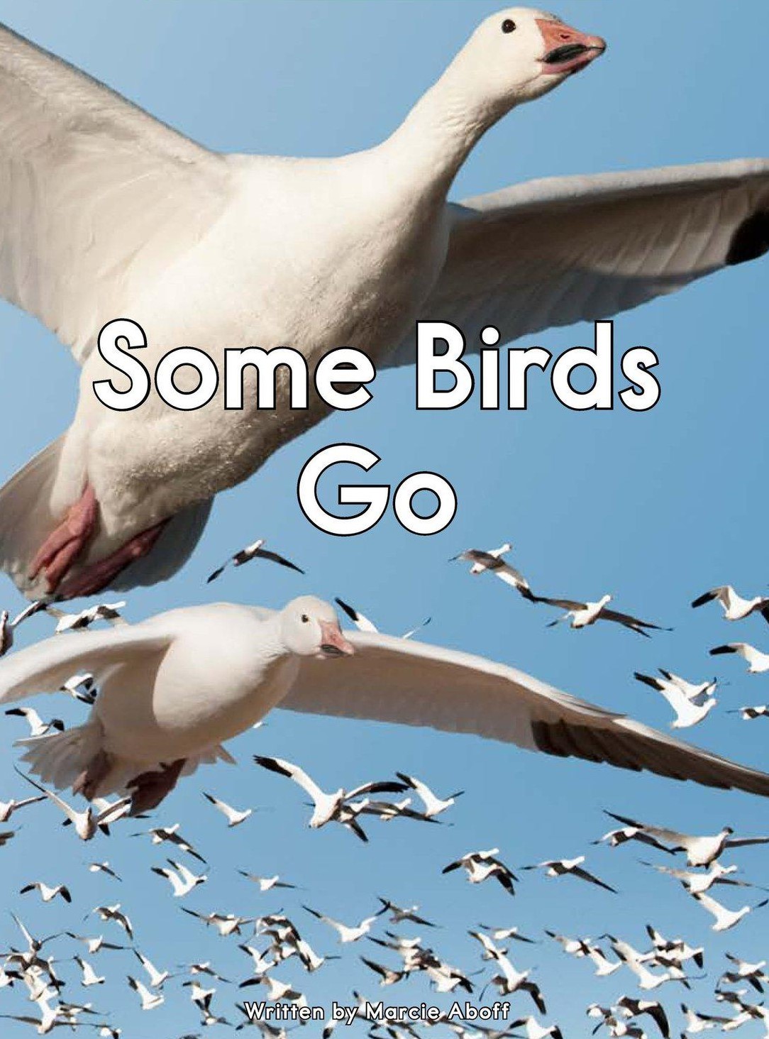 Some Birds Go