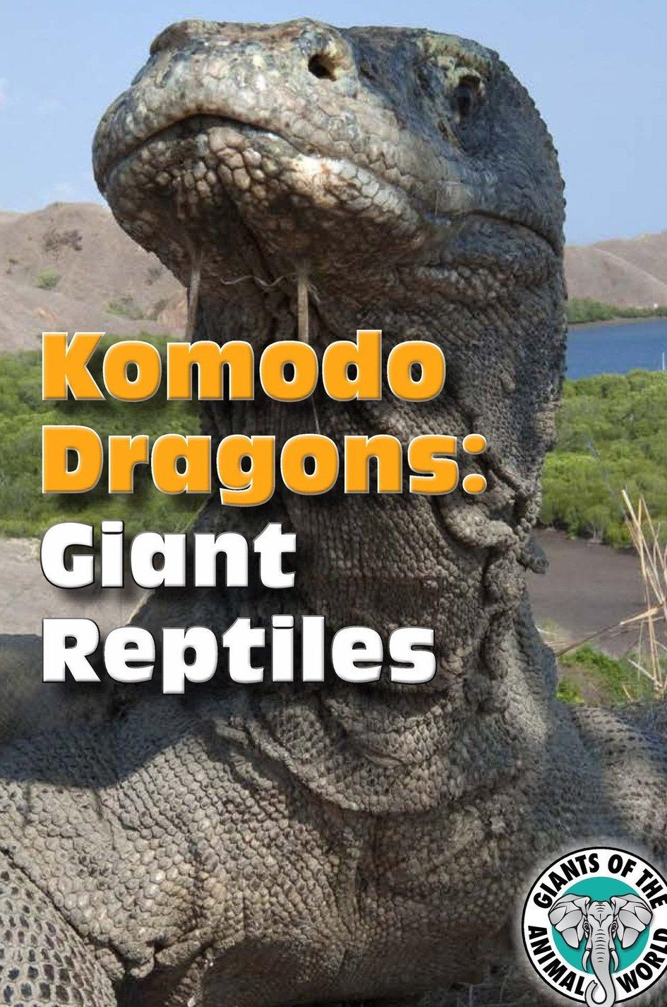 Komodo Dragons Giant Reptiles