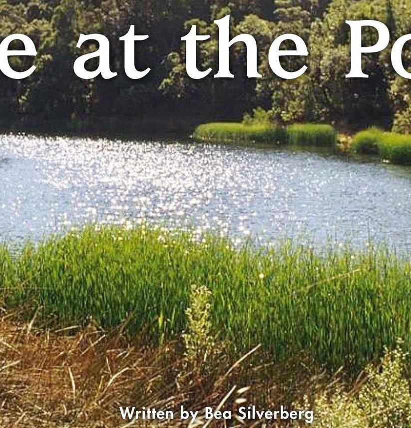 Life at the Pond