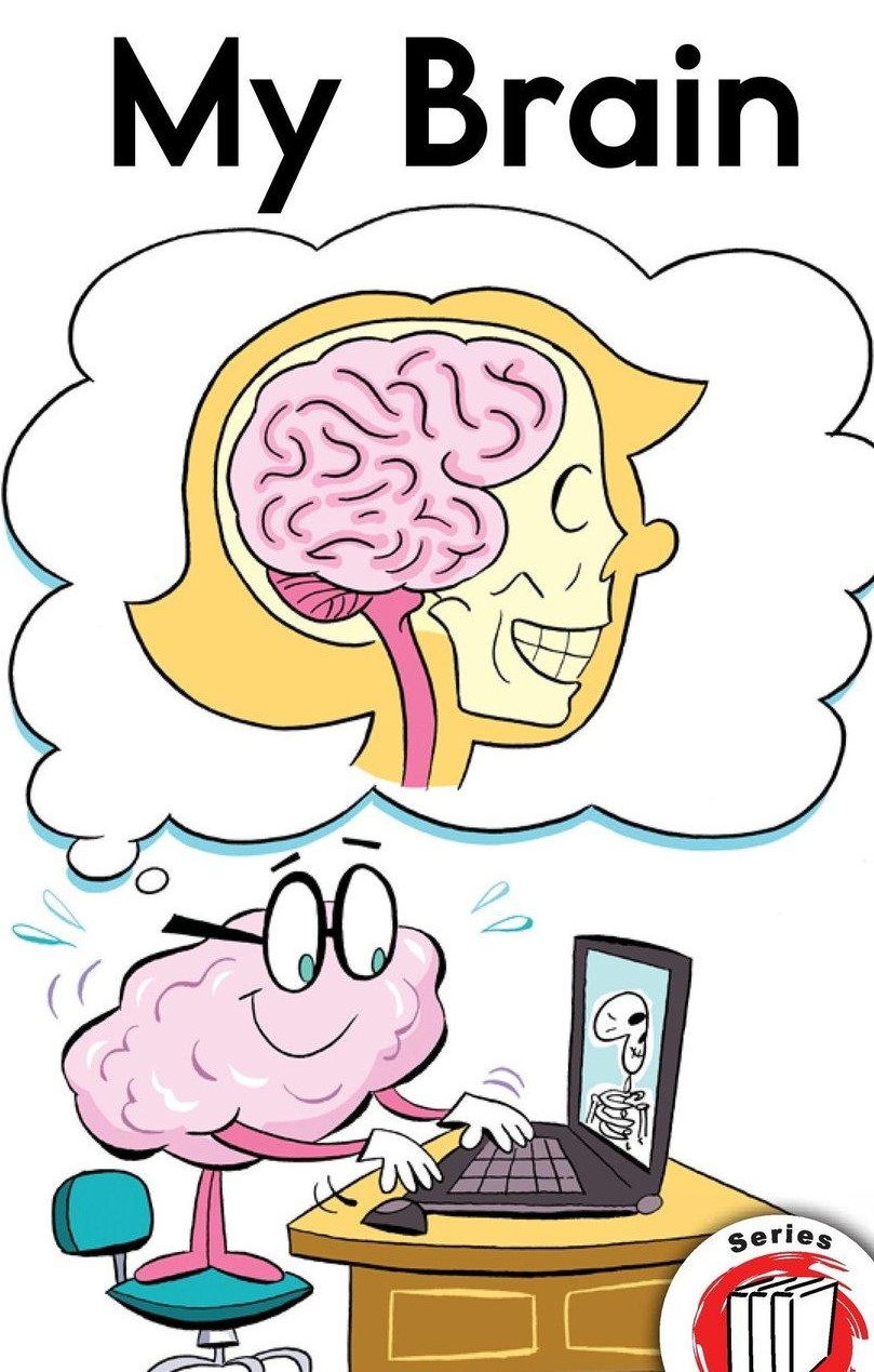 My Brain