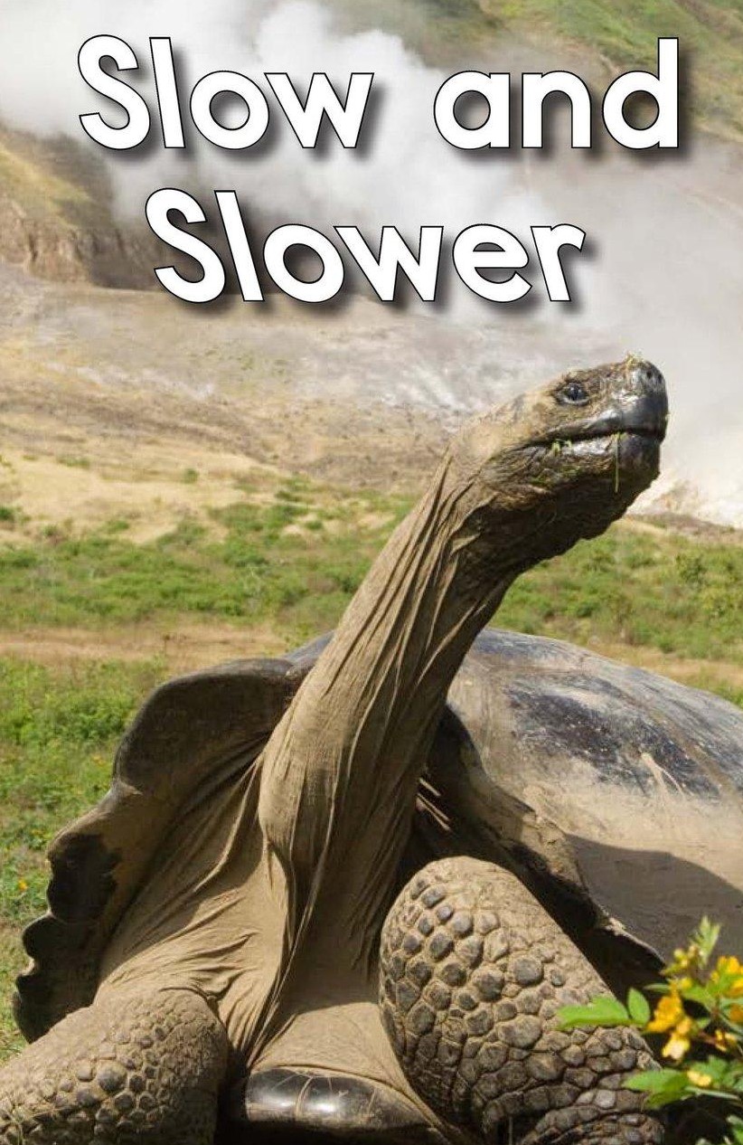 Slow and Slower