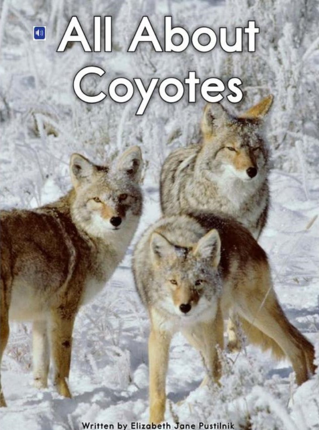 All About Coyotes