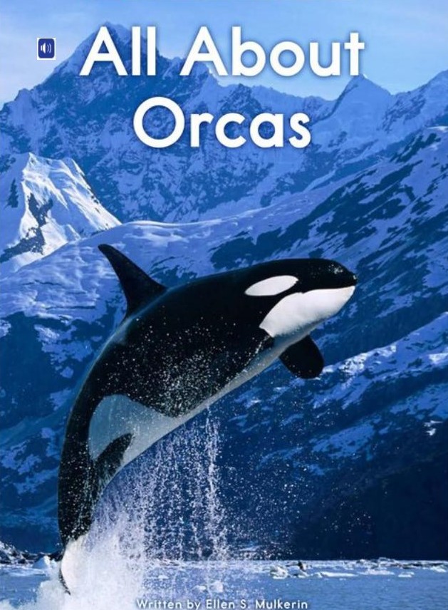 All About Orcas